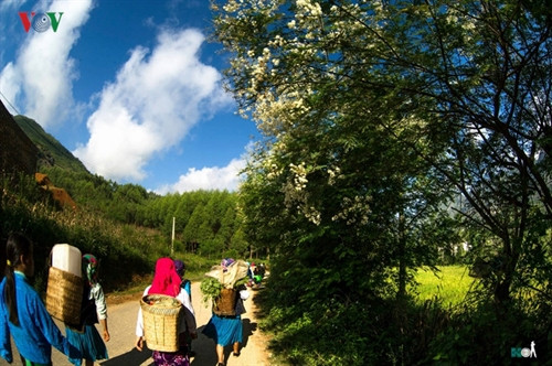 Vẻ đẹp ấy theo bước chân vượt núi rừng của họ, hay từ những giọt mồ hôi lăn dài trên má hoặc đơn giản là một nụ cười hiền lấp lánh niềm vui.