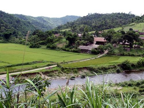 Bản làng của dân tộc Thái định cư trong rừng Pù Mát. Ảnh: An Đăng -TTXVN Bản làng của dân tộc Thái định cư trong rừng Pù Mát. Ảnh: An Đăng -TTXVN