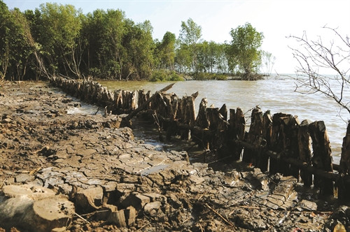 Kè chống xói mòn, sạt lở tại xã khánh Bình Tây, huyện Trần văn Thời