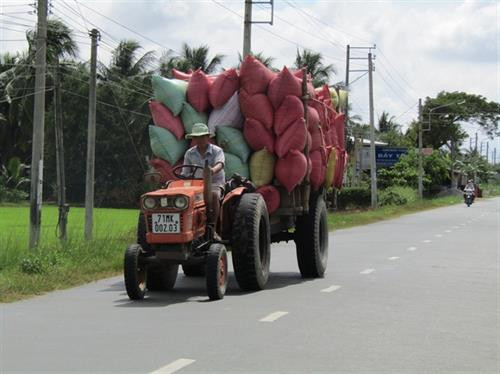 Vận chuyển phân bò giao cho các nông trại. Ảnh: nongnghiep.vn Vận chuyển phân bò giao cho các nông trại. Ảnh: nongnghiep.vn