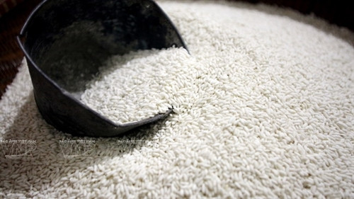 Nguyên liệu chính để làm bánh giầy Quán Gánh là gạo nếp cái hoa vàng nổi tiếng của vùng Hải Hậu, Nam Định.