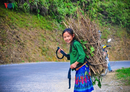 Dù mang bó củi to ngang thân hình bé nhỏ nhưng em vẫn không ngại.