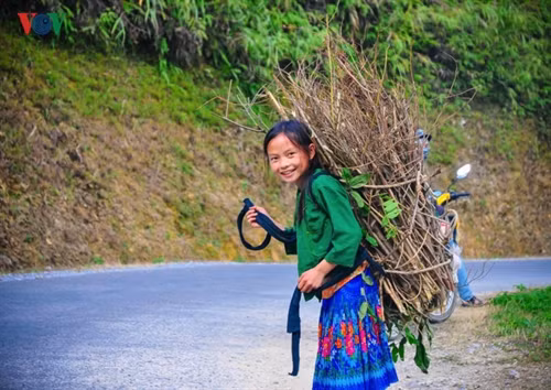 Dù mang bó củi to ngang thân hình bé nhỏ nhưng em vẫn không ngại.