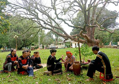 Thầy cúng khấn và đeo vòng đồng vào tay gia chủ (người trông coi rừng cây) để cầu mong sức khỏe và may mắn Thầy cúng khấn và đeo vòng đồng vào tay gia chủ (người trông coi rừng cây) để cầu mong sức khỏe và may mắn