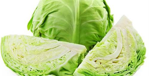 Bắp cải sạch còn giúp phòng chống ung thư. Bắp cải sạch còn giúp phòng chống ung thư.