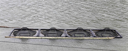 Người dân tại huyện Tương Dương đầu tư lồng công nghệ mới nuôi cá đem lại hiệu quả kinh tế cao. Người dân tại huyện Tương Dương đầu tư lồng công nghệ mới nuôi cá đem lại hiệu quả kinh tế cao.