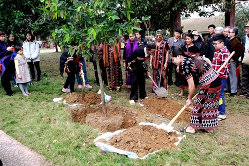 Hai dân tộc kết nghĩa cùng trồng cây Kơ nia tượng trưng cho tình cảm gắn kết.