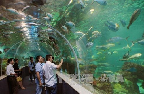 Khu liên hợp nghỉ dưỡng – giải trí Vinpearl Phú Quốc thuộc Tập đoàn Vingroup có tổng diện tích trên 300ha; quần thể nghỉ dưỡng – giải trí 5 sao theo tiêu chuẩn quốc tế đầu tiên và quy mô lớn nhất trên đảo. Ảnh: An Hiếu – TTXVN. Khu liên hợp nghỉ dưỡng – giải trí Vinpearl Phú Quốc thuộc Tập đoàn Vingroup có tổng diện tích trên 300ha; quần thể nghỉ dưỡng – giải trí 5 sao theo tiêu chuẩn quốc tế đầu tiên và quy mô lớn nhất trên đảo. Ảnh: An Hiếu – TTXVN.