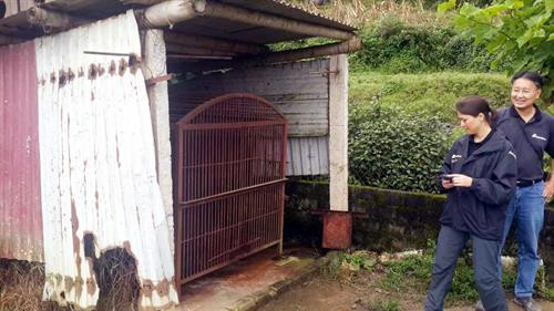 Gấu Rocky bị nuôi nhốt trong không gian chật hẹp. Nguồn ảnh: Tổ chức động vật châu Á