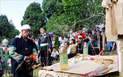 Trước khi làm lễ cắt tiết gà, chủ lễ thắp hương khấn vái trời đất Tổ tiên và cây chè. Ảnh: Tuấn Anh-TTXVN