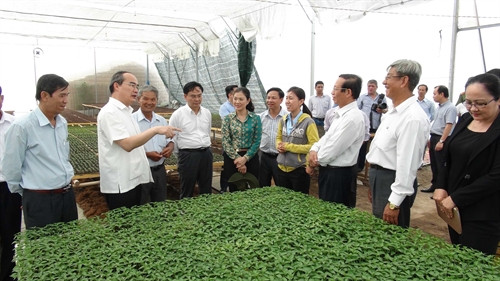 Đồng chí Nguyễn Thiện Nhân tham quan Trung tâm ươm giống, HTX Tân Bình, Đồng Tháp. Ảnh: Huỳnh Phúc Hậu – TTXVN