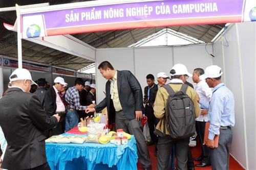 Gian hàng nông sản của một doanh nghiệp Campuchia. Ảnh: Chu Quốc Hùng - TTXVN Gian hàng nông sản của một doanh nghiệp Campuchia. Ảnh: Chu Quốc Hùng - TTXVN