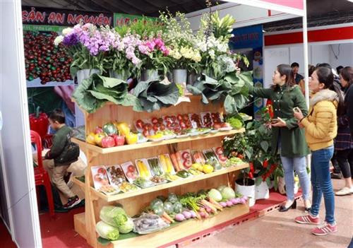 Nhiều sản phẩm rau củ công nghệ cao của Đà Lạt hấp dẫn người xem. Ảnh: Chu Quốc Hùng - TTXVN Nhiều sản phẩm rau củ công nghệ cao của Đà Lạt hấp dẫn người xem. Ảnh: Chu Quốc Hùng - TTXVN