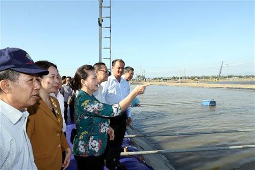 Chủ tịch Quốc hội Nguyễn Thị Kim Ngân đi thăm và khảo sát vùng nuôi cá tra ứng dụng công nghệ cao. Ảnh: Trọng Đức - TTXVN Chủ tịch Quốc hội Nguyễn Thị Kim Ngân đi thăm và khảo sát vùng nuôi cá tra ứng dụng công nghệ cao. Ảnh: Trọng Đức - TTXVN