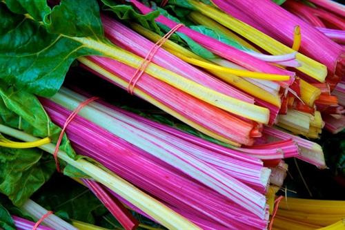 Những phần thực phẩm đừng bao giờ vứt vào thùng rác ảnh 8 Những phần thực phẩm đừng bao giờ vứt vào thùng rác ảnh 8