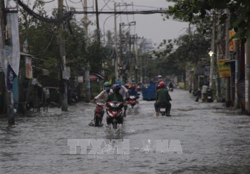 Triều cường đạt đỉnh khiến đường Lê Văn Lương, huyện Nhà Bè bị ngập sâu. Ảnh: Xuân Dự - TTXVN