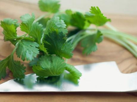Những công dụng tuyệt vời của rau mùi thơm ảnh 5 Những công dụng tuyệt vời của rau mùi thơm ảnh 5