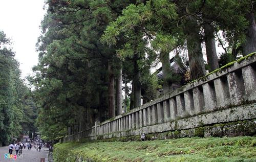 Nói đến Nikko, người hiểu lịch sử Nhật Bản liền nghĩ ngay đến Nikko Toshogu, một đền đài nguy nga nhất của xứ Phù Tang được UNESCO công nhận là di sản văn hoá thế giới vào năm 1999. Đường vào đền Nikko Toshogu vắt ngang con sông Daiya, với cây cầu Thần gỗ cong (Shin kyo) sơn son đẹp mắt, giống như cầu Thê Húc ở Hồ Gươm, Hà Nội. Đây là một trong 3 cây cầu đẹp nhất Nhật Bản. Nikko được ví như viên đá quý, bởi vẻ đẹp tự nhiên và vẻ đẹp kiến trúc Nhật Bản. Kiến trúc điện thờ vô cùng sắc sảo. Các nhà sử học ước lượng rằng để hoàn tất kiến trúc đền thờ Toshogu tốn khoảng 40 tỷ yen vào thời điểm ngày nay (8.547 tỷ đồng). Đền chùa Nikko là tên gọi chung của quần thể đền, chùa cổ nổi tiếng ở thành phố Nikko, tỉnh Tochigi. Dân địa phương thường gọi quần thể này là "hai đền một chùa", bởi quần thể gồm hai đền thờ Thần đạo Nikko Tosho-gu (đền Futarasan) và một ngôi chùa Phật giáo là chùa Rinno. 5 kiến trúc của đền Nikko Toshogu đã được Nhật Bản xếp vào hàng quốc bảo, và ba kiến trúc khác là tài sản văn hóa trọng yếu. Lăng mộ đền thờ của tướng quân Tokugawa được thiết kế tạo ra được một không gian rất trang nghiêm. Lối vào cổng chính rộng rãi, đường trải đá nhỏ màu xám, những rặng thông cao vút tạo ra một không gian uy nghi, thanh tịnh. Đại lộ những cây tuyết tùng được trồng xếp hàng dài ngay ngắn nằm ở hai bên vệ đường, được gọi là Sugi. Sau khi tướng quân Tokugawa Ieyasu chết năm 1616, Masatsuna Matsudaira đã xây dựng đền Nikko Toshogu, và ông bắt đầu trồng cây tuyết tùng Nhật Bản dọc theo con đường chính dẫn đến Nikko. Người ta ước tính có khoảng 200.000 cây tuyết tùng được trồng trong dịp này. Số lượng cây giảm đi rất nhiều và hiện nay chỉ còn 13.000 cây. Ðông Chiêu Cung - Toshogu - là tên gọi của đền thờ tướng quân Shogun Tokugawa Ieyasu - Ðức Xuyên Gia khang. Ông mất vào năm 1616 và con trai ông đã chọn Nikko làm nơi xây dựng đền thờ. Hơn 4 triệu người thợ làm trong trong 1 năm rưỡi để hoàn thiện cụm đền thờ có kiến trúc vô cùng sắc sảo này. Tổ hợp kiến trúc là điểm tuyệt vời trong số các tuyệt tác kiến trúc Nhật Bản thể hiện lối trang trí sang trọng và tinh tế. Kiến trúc đền thờ Toshogu để lại cho người sau cả một kho tàng về triết lý nhân sinh. Các hình ảnh khỉ đã được nhân cách hóa mô tả về đời sống con người. Một trong số đó có bức đặc biệt nhất khắc 3 chú khỉ, có tên từng chú khỉ là Kikazaru (bịt tai), Mizaru (bịt mắt) và Iwazaru (bịt miệng). Ba chú khỉ với vẻ mặt ngộ nghĩnh là hình tượng người Nhật Bản biểu đạt triết lý nhà Phật dạy rằng không nghe điều bậy, không nhìn điều bậy, không nói điều bậy. Bức khắc này của nghệ nhân Hidari Jingoro nổi tiếng từ thế kỉ 17. Hiện đền cũng là nơi những gia đình quyền quý tổ chức lễ thành hôn. Hàng năm đền thờ tướng quân Tokugawa - nơi được mệnh danh là ”Di Hòa Viên” của Nhật Bản, thu hút hàng trăm ngàn lượt khách du lịch.