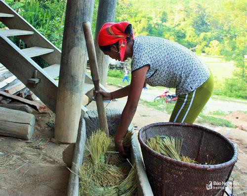Cận cảnh những chiếc cối giã gạo truyền thống của đồng bào miền Tây xứ Nghệ ảnh 5