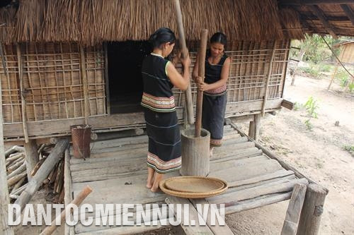 Công đoạn giã đất làm gốm của người Bahnar. Ảnh: Quang Thái Người Bahnar không nung gốm trong những lò chuyên dụng mà nung gốm trong đống lửa lộ thiên. Nơi nung gốm thường kín gió và cách xa những thứ dễ bắt lửa. Ảnh: Văn Nhưng