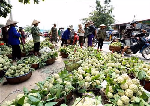 Chợ na ở thị trấn Đồng Bành, huyện Chi Lăng. Ảnh: Vũ Sinh – TTXVN