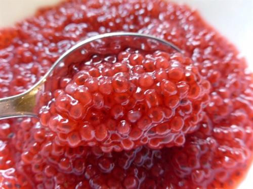 Hạt é bé mà lợi hại ảnh 3