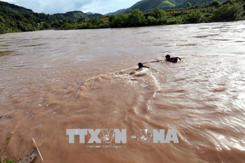 Những khúc củi, tấm gỗ do bọn trẻ vớt được tập kết trên bờ. Ảnh: Phan Tuấn Anh - TTXVN Niềm vui của cậu bé khi vớt được một thân cây to. Ảnh: Phan Tuấn Anh - TTXVN Đứng trên bờ nhìn thấy có củi trôi sông, các cậu bé ngay lập tức thi nhau nhảy xuống để vớt dù nước chảy xiết. Ảnh: Phan Tuấn Anh - TTXVN Để vớt được thanh củi to trôi dưới sông có khi phải 3 đứa trẻ mới đưa được vào bờ. Ảnh: Phan Tuấn Anh - TTXVN Một cậu bé vớt được thanh củi to trôi dưới sông. Ảnh: Phan Tuấn Anh - TTXVN Những khúc củi, tấm gỗ do bọn trẻ vớt được tập kết trên bờ. Ảnh: Phan Tuấn Anh - TTXVN Niềm vui của cậu bé khi vớt được một thân cây to. Ảnh: Phan Tuấn Anh - TTXVN Đứng trên bờ nhìn thấy có củi trôi sông, các cậu bé ngay lập tức thi nhau nhảy xuống để vớt dù nước chảy xiết. Ảnh: Phan Tuấn Anh - TTXVN Để vớt được thanh củi to trôi dưới sông có khi phải 3 đứa trẻ mới đưa được vào bờ. Ảnh: Phan Tuấn Anh - TTXVN Một cậu bé vớt được thanh củi to trôi dưới sông. Ảnh: Phan Tuấn Anh - TTXVN