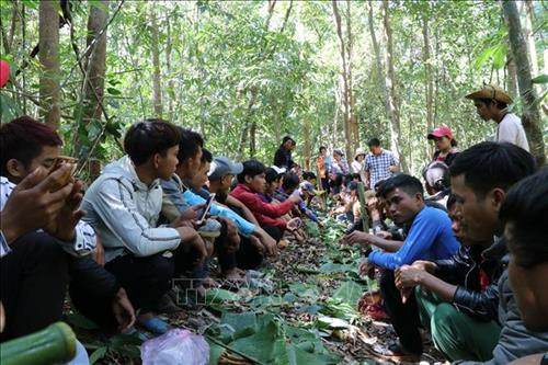 Già làng Siu Tới, làng Ograng, xã Ia Pếch, huyện Ia Grai cùng bà con, dân quân tự vệ, lực lượng kiểm lâm đang tiến hành thực hiện nghi lễ cúng Rừng. Ảnh: Hồng Điệp - TTXVN Già làng Siu Tới, làng Ograng, xã Ia Pếch, huyện Ia Grai uống rượu cần cùng Hạt trưởng chi cục Kiểm lâm huyện Ia Grai và cam kết giữ rừng. Ảnh: Hồng Điệp - TTXVN Sau lễ cúng Rừng, bà con huyện tập trung ăn uống theo kiểu truyền thống. Ảnh: Hồng Điệp - TTXVN Cùng chúc tụng nhau một mùa Xuân mới nhiều niềm vui. Ảnh: Hồng Điệp - TTXVN Già làng Siu Tới, làng Ograng, xã Ia Pếch, huyện Ia Grai cùng bà con, dân quân tự vệ, lực lượng kiểm lâm đang tiến hành thực hiện nghi lễ cúng Rừng. Ảnh: Hồng Điệp - TTXVN Già làng Siu Tới, làng Ograng, xã Ia Pếch, huyện Ia Grai uống rượu cần cùng Hạt trưởng chi cục Kiểm lâm huyện Ia Grai và cam kết giữ rừng. Ảnh: Hồng Điệp - TTXVN Sau lễ cúng Rừng, bà con huyện tập trung ăn uống theo kiểu truyền thống. Ảnh: Hồng Điệp - TTXVN Cùng chúc tụng nhau một mùa Xuân mới nhiều niềm vui. Ảnh: Hồng Điệp - TTXVN