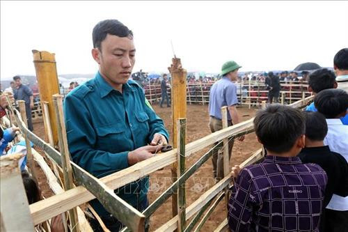 Công tác chuẩn bị nơi chọi dê được tiến hành từ sáng sớm. Ảnh: Phan Tuấn Anh - TTXVN Người dân mang dê đến thi đấu tại xã Xá Nhè. Tiêu chuẩn của dê chọi là dê đực từ 2 tuổi trở lên, ngoại hình cân đối, khỏe mạnh, sừng chắc khỏe, chân móng to, nhanh nhẹn, linh hoạt, không nhiễm các bệnh về gia súc. Ảnh: Phan Tuấn Anh - TTXVN Để cân trọng lượng dê, các chủ dê phải bế từng con lên cân. Ảnh: Phan Tuấn Anh - TTXVN Để kích thích các “đấu sĩ” dê thi đấu, trọng tài cầm sừng của các đối thủ cọ vào nhau. Ảnh: Phan Tuấn Anh - TTXVN Những "đấu sĩ" dê được buộc riêng trước khi thi đấu. Ảnh: Phan Tuấn Anh - TTXVN Tiêu chuẩn của dê chọi là dê đực từ 2 tuổi trở lên, ngoại hình cân đối, khỏe mạnh, sừng chắc khỏe, chân móng to, nhanh nhẹn, linh hoạt, không nhiễm các bệnh về gia súc. Ảnh: Phan Tuấn Anh - TTXVN Miếng đánh “hổ vồ” của dê số 13. Ảnh: Phan Tuấn Anh - TTXVN Một em bé được bố đưa đi xem chọi dê. Ảnh: Phan Tuấn Anh - TTXVN Công tác chuẩn bị nơi chọi dê được tiến hành từ sáng sớm. Ảnh: Phan Tuấn Anh - TTXVN Người dân mang dê đến thi đấu tại xã Xá Nhè. Tiêu chuẩn của dê chọi là dê đực từ 2 tuổi trở lên, ngoại hình cân đối, khỏe mạnh, sừng chắc khỏe, chân móng to, nhanh nhẹn, linh hoạt, không nhiễm các bệnh về gia súc. Ảnh: Phan Tuấn Anh - TTXVN Để cân trọng lượng dê, các chủ dê phải bế từng con lên cân. Ảnh: Phan Tuấn Anh - TTXVN Để kích thích các “đấu sĩ” dê thi đấu, trọng tài cầm sừng của các đối thủ cọ vào nhau. Ảnh: Phan Tuấn Anh - TTXVN Những "đấu sĩ" dê được buộc riêng trước khi thi đấu. Ảnh: Phan Tuấn Anh - TTXVN Tiêu chuẩn của dê chọi là dê đực từ 2 tuổi trở lên, ngoại hình cân đối, khỏe mạnh, sừng chắc khỏe, chân móng to, nhanh nhẹn, linh hoạt, không nhiễm các bệnh về gia súc. Ảnh: Phan Tuấn Anh - TTXVN Miếng đánh “hổ vồ” của dê số 13. Ảnh: Phan Tuấn Anh - TTXVN Một em bé được bố đưa đi xem chọi dê. Ảnh: Phan Tuấn Anh - TTXVN