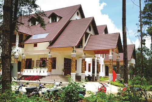 Nhiều khách sạn, biệt thự nghỉ dưỡng nằm ẩn mình trong rừng thông xanh