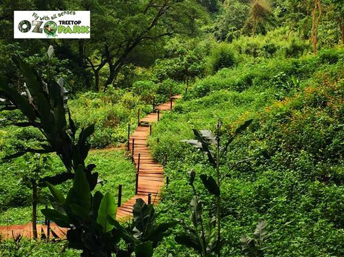 Công viên Ozo là khu công viên đầu tiên khai thác hệ thống trò chơi trên cây và dưới nước độc đáo. Ảnh: ozotreetoppark.com.vn Công viên Ozo là khu công viên đầu tiên khai thác hệ thống trò chơi trên cây và dưới nước độc đáo. Ảnh: ozotreetoppark.com.vn