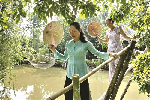 Cầu khỉ bắc qua kênh rạch - một nét đặc trưng của vùng sông nước Cửu Long