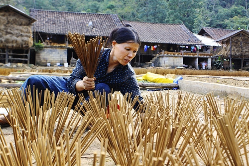 Để que hương đạt đến độ khô nhất định, người phơi hương phải chọn thời điểm phơi hương là giữa trưa khi nhiệt độ trong ngày là cao nhất. Để que hương đạt đến độ khô nhất định, người phơi hương phải chọn thời điểm phơi hương là giữa trưa khi nhiệt độ trong ngày là cao nhất.