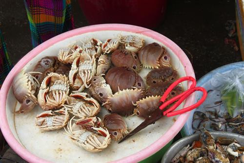 Khám phá kỳ thú về con cúm núm đặc sản Cần Giờ ảnh 6