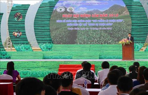 Chủ tịch UBND huyện Thuận Châu (Sơn La) Đào Tài Tuệ phát biểu tại ngày hội. Ảnh: Nguyễn Cường - TTXVN. Chủ tịch UBND huyện Thuận Châu (Sơn La) Đào Tài Tuệ phát biểu tại ngày hội. Ảnh: Nguyễn Cường - TTXVN.