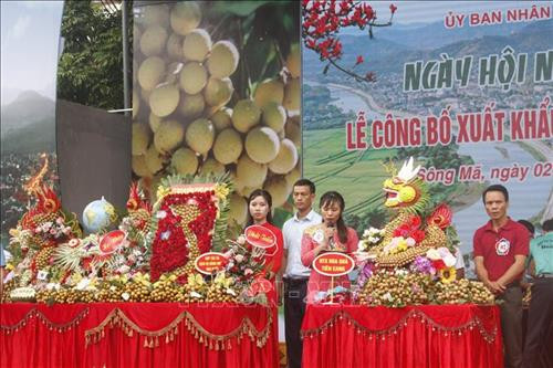Hội thi nhãn ngon, an toàn tại buổi lễ. Ảnh: Quang Quyết - TTXVN Hội thi nhãn ngon, an toàn tại buổi lễ. Ảnh: Quang Quyết - TTXVN