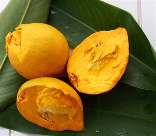 Ngọt bùi lê ki ma ảnh 1 Ngọt bùi lê ki ma ảnh 1