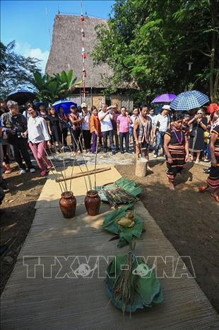 Lễ cũng mừng lúa mới của người dân buôn làng Xơ Đăng được chuẩn bị chu đáo. Ảnh: Trọng Đạt - TTXVN