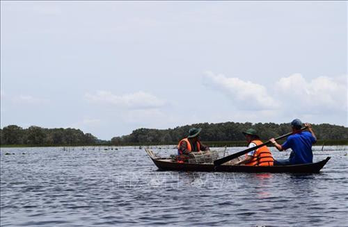 Ramsar Tràm Chim mùa nước nổi vô cùng hấp dẫn. Ảnh: Chương Đài - TTXVN Ramsar Tràm Chim mùa nước nổi vô cùng hấp dẫn. Ảnh: Chương Đài - TTXVN