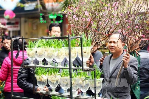 Chợ hoa Tết phố Hàng Lược ảnh 3 Chợ hoa Tết phố Hàng Lược ảnh 3