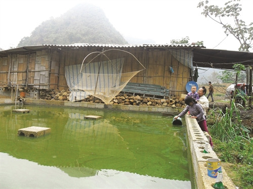 Bể chứa nước của đồng bào ở xóm Lũng Táy, xã Thượng Thôn Bể chứa nước của đồng bào ở xóm Lũng Táy, xã Thượng Thôn