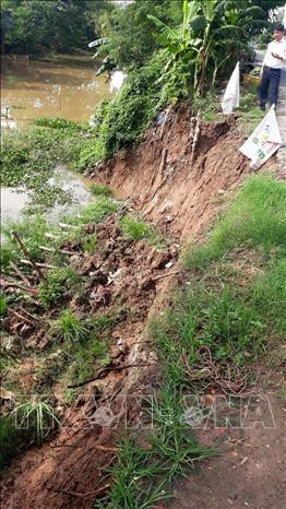 Điểm sạt lở dọc theo tuyến Kênh Vĩnh An, đoạn thuộc ấp Phú Hưng, xã Phú Vĩnh. Ảnh: Công Mạo-TTXVN Điểm sạt lở dọc theo tuyến Kênh Vĩnh An, đoạn thuộc ấp Phú Hưng, xã Phú Vĩnh. Ảnh: Công Mạo-TTXVN