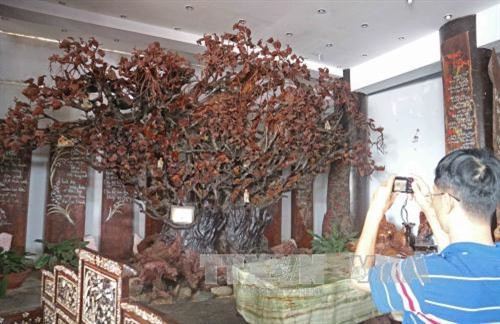 Chùa Linh Phước có nhiều kỷ lục Việt Nam ảnh 2