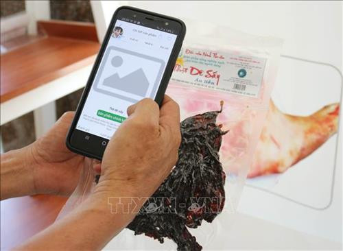 Truy xuất nguồn gốc sản phẩm đặc thù dê Ninh Thuận bằng ứng dụng quét mã tem điện tử trên điện thoại. Ảnh: Nguyễn Thành – TTXVN Truy xuất nguồn gốc sản phẩm đặc thù dê Ninh Thuận bằng ứng dụng quét mã tem điện tử trên điện thoại. Ảnh: Nguyễn Thành – TTXVN