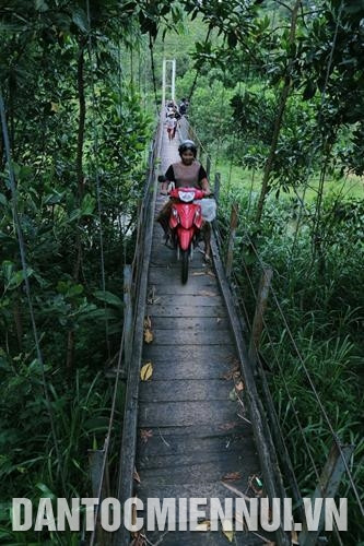 Những chiếc cầu treo bắc qua sông, suối đáp ứng nhu cầu đi lại và vận chuyển hàng hóa của đòng bào Cơ - tu.