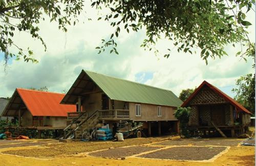 Những ngôi nhà sàn bê tông bên cạnh nhà sàn phên nứa truyền thống.