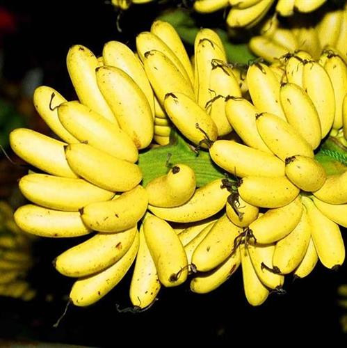 5 đặc sản nức tiếng ở “quê hương Chí Phèo” ảnh 2