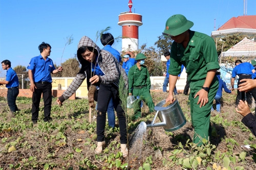 Thanh niên tỉnh Bình Thuận trồng cây xanh tại bãi biển Thương Chánh - Thành phố Phan Thiết. Ảnh: Nguyễn Thanh - TTXVN Thanh niên tỉnh Bình Thuận trồng cây xanh tại bãi biển Thương Chánh - Thành phố Phan Thiết. Ảnh: Nguyễn Thanh - TTXVN
