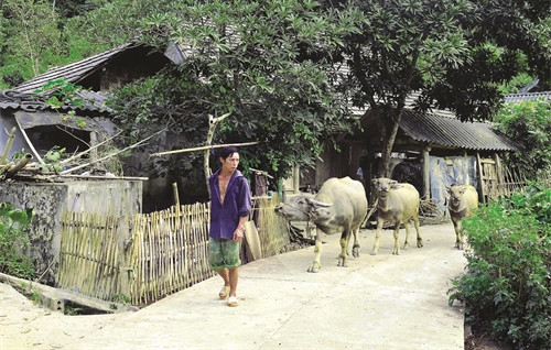 Đường liên thôn vừa được đưa vào sử dụng nhờ chương trình xây dựng nông thôn Đường liên thôn vừa được đưa vào sử dụng nhờ chương trình xây dựng nông thôn