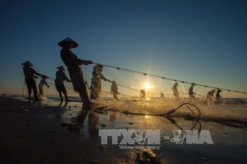 Kéo rùng - nghề truyền thống độc đáo của ngư dân xứ Thanh ảnh 4